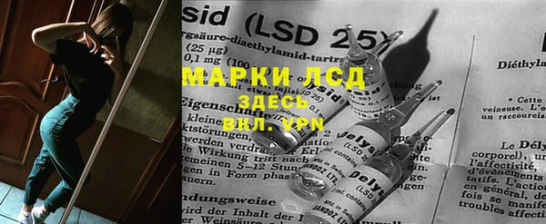 apvp Алзамай