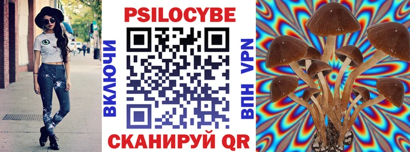 Псилоцибиновые грибы Psilocybine cubensis  Белоярский 